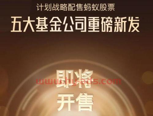 现在在支付宝买什么基金好（支付宝里现在买什么基金*）
