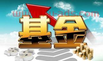 新人怎么学基金投资经理人（做基金投资经理需要的条件）