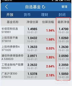 天天基金净值收益怎么看（天天基金累计净值）