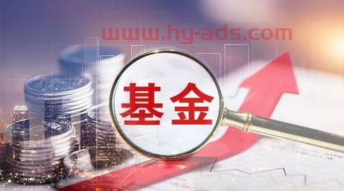 小白买基金怎么样不亏钱（小白买基金买什么类型的）