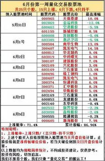 量化投资基金经理排名（量化基金经理是做什么的）