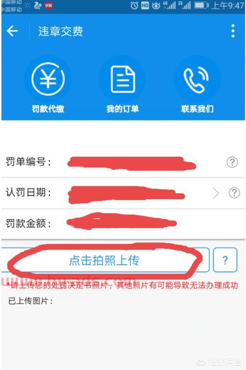广东交通违章查询官方网站
